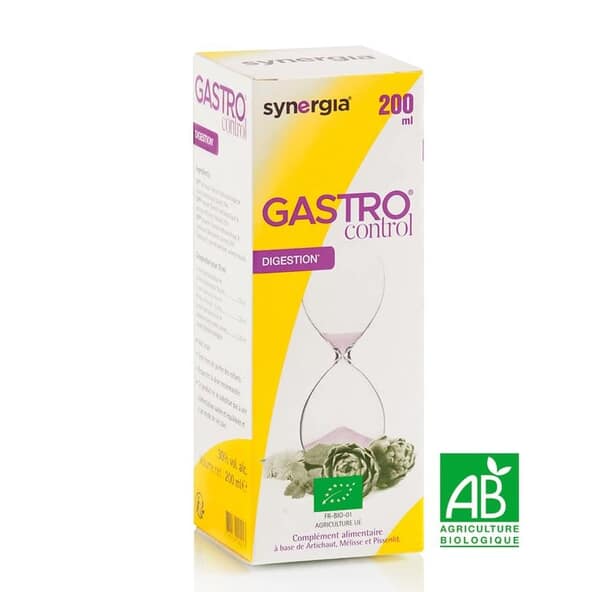 GastroControl – Synergia